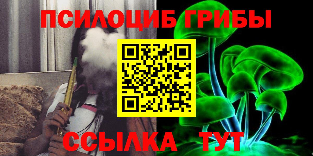 Галлюциногенные грибы Psilocybe Нефтекумск